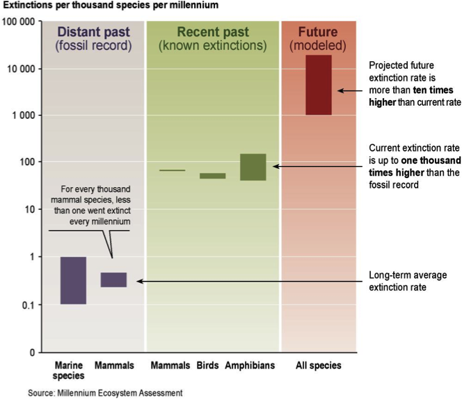 MEA extinction rates