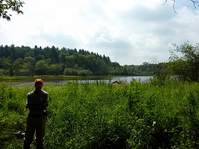 Bogs Water Shoes on Looking Out Over The Fen With Invasive Buckthorn Visible To The Right