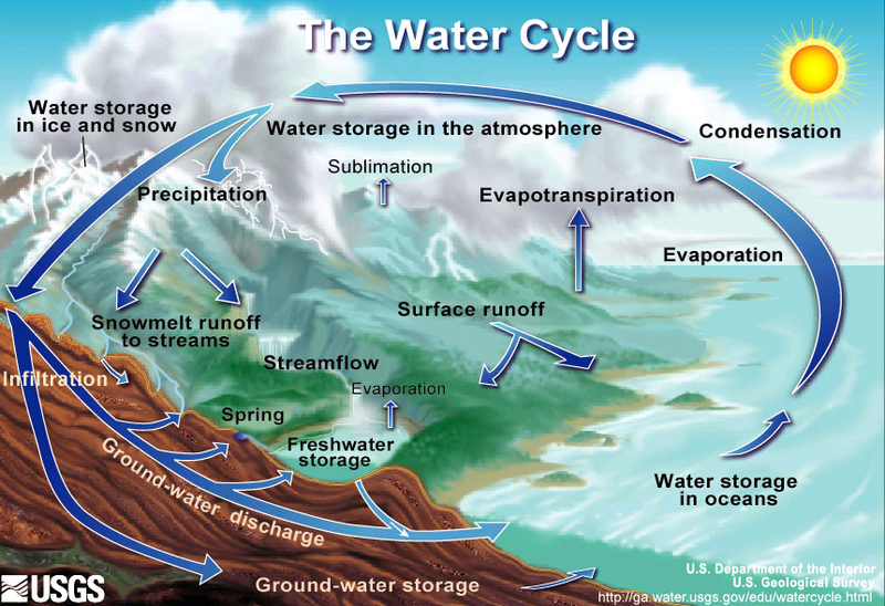 throwing-a-wrench-in-biogeochemical-cycles-gravity-s-rainbow